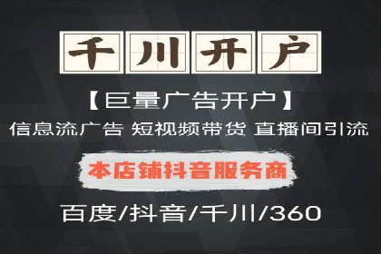 企业SEM服务实战案例解析