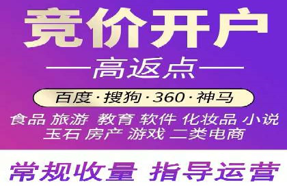 企业SEM服务实战案例解析